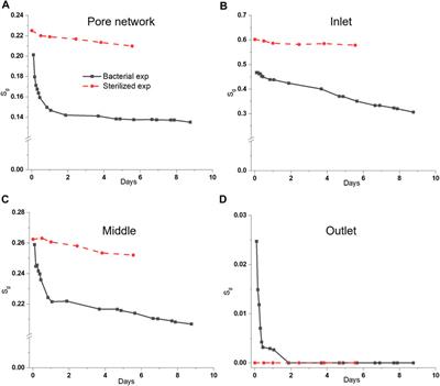 Pore-scale study of microbial hydrogen consumption and wettability alteration during underground hydrogen storage